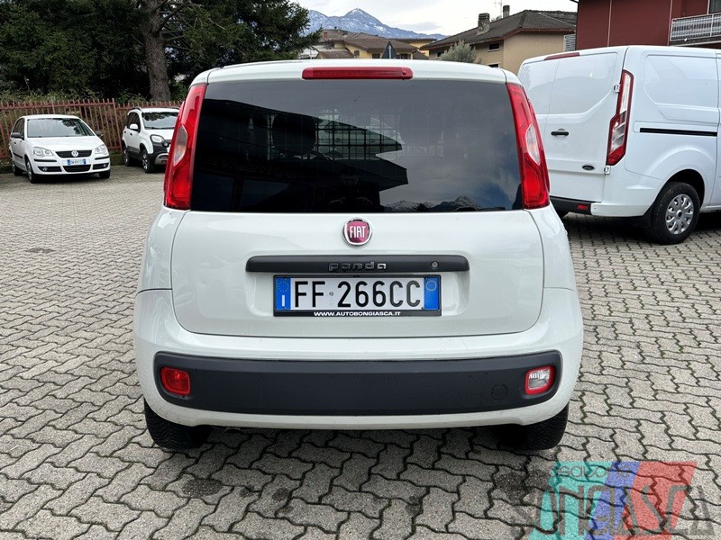 IMG 3064 1
