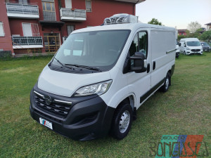 OPEL MOVANO 33 L1H1 2.2 BLUEHDI 140CV S&S IMPIANTO FRIGO