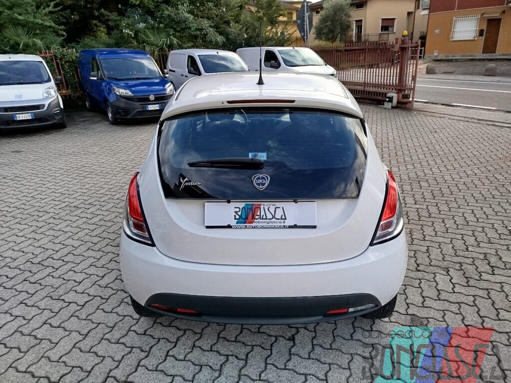 IMG 20261008 160745