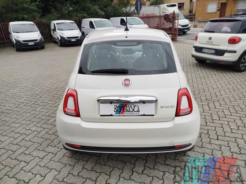 IMG 20261023 091803